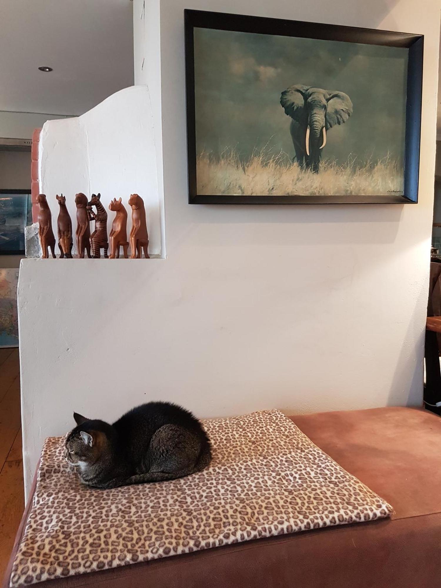 Victorskloof Lodge Hout Bay Extérieur photo