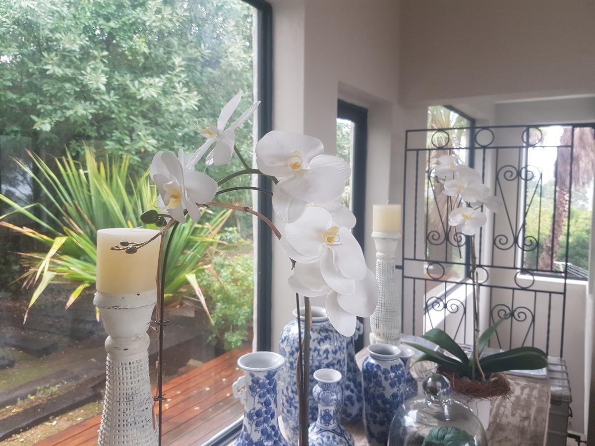 Victorskloof Lodge Hout Bay Extérieur photo